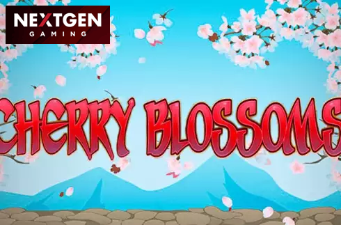 Cherry Blossoms